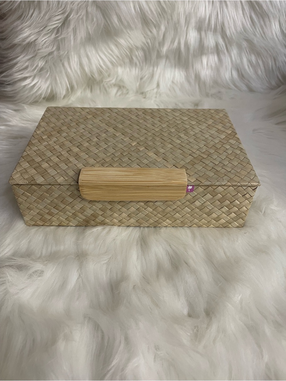 Indian Crafted Storage Box
